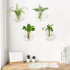 Mkono Propagation Wall Hanging Planter Glass Terrarium 6 22 Inches  Clear 