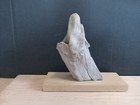 Taxidermy Animal Display Mount