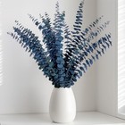 25pcs Dried Preserved Blue Eucalyptus Stems  100  Natural Fresh Plant  17   