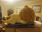 Harry Potter Gryffindor Lion 18-inch Sleeping Plush - Child s Soft Plush-nib