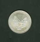 2011 Silver American Eagle Coin One Dollar 1 Troy Oz  999 Fine Bu White