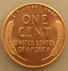 1956 D Lincoln Wheat Cent   Penny Bu    free Shipping   Beautiful Coins