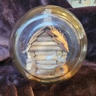 Whimsy Bottle  Log Cabin In Gallon Jug  Folk Art