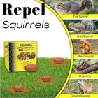 Squirrel Repellent Outdoor indoor  Chipmunk   Rodents Also  12 Repellent Balls 