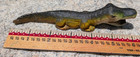 Vintage Cast Iron Alligator Bottle Opener 6 1 2  Nice Original Paint