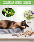 12pc Natural Silvervine Sticks Cat Toys Matatabi Catnip Chew Teeth Cleaning 12pk