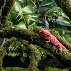 Usmola Moss Vine For Reptiles  Bendable Climbing Vines 9 8 Ft  Jungle Green 