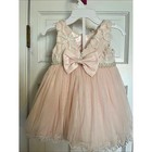 American Princess Girls 18m Pink Floral Formal Dress Tulle Skirt Pearl Waistband