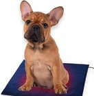 Usb Pet Heating Pad 5v 2a Electric Cloth Heater Washable 9 5x11 8in 