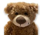 Dan Dee Collector s Choice Teddy Precious Plush Stuffed Brown Texture Bear 13   