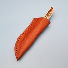 Knife Sheath Fixed Blade Brown Leather Insider Belt Case 4 x 3 25  Border Stamp