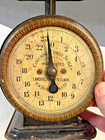 Vintage Columbia Family Scale 24 Lb  Farmhouse Kitchen Garden Decorative Scale