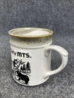 Vintage 90s Great Smoky Mountains Mts National Park Bear Indian Coffee Mug Cup