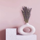 Dried Lavender Bundles   Natural Dried Lavender Flowers 280-300 Stems 16    For Ho
