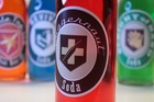 Call Of Duty Zombies 13 Perk Bottle Set - Complete Replica Collection