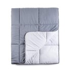 Tadpoles Microfiber Box Quilted Twin Size Comforter Blanket 85x65