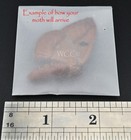 Io Moth  Female   A    Quality   one Unmounted Specimen  