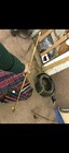 Red Oak Flat Atlatl