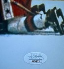1980 Gold Hockey 16x20 Signed Photo Broten Pavelich Verchota Schneider Beckett