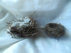 2 Natural Bird Nests - Hummingbird And Mid-size Made With Cotton Material
