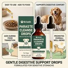 Pawsy Parasite Cleanse Drops For Dogs  Six Natural Herbal Actives 60ml