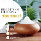 Ylang Ylang Essential Oil 100  Pure Free Shipping 5ml-1gallon