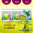 Dinosaur Hatching Surprise Eggs For Kids - 6 Pack Grows 600  - Dino Toys