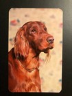Old Vintage   Irish Setter   Postcard  Made In Usa