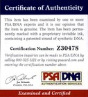 Amy Adams Psa dna Authentic Signed Celebrity 10x15 Photo W cert Autographed A8