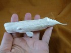 Whal-w135 Large Sperm Whale Of Shed Antler Figurine Bali Detailed Carving