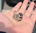Lovely Antique Austrian Vienna Cold Painted Bronze Figure Of Cute Small Sparrow