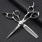 Professional Hair Scissors Hairdressing Cutting Thinning Shear Salon Barber Tool