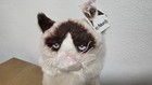 Gund 9  Grumpy Cat  4040133 Plush With Tag