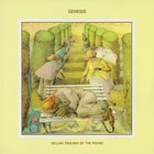 Genesis Selling England By The Pound Banner Huge 4x4 Ft Fabric Poster Flag Art