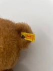 Steiff Vintage Dorma Bear  13  Original Ear Tag Button In Ear 0217 34
