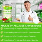 Berberine With Ceylon Cinnamon 5000mg 120 Caps Heart Health   Immune - Us
