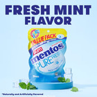 Mentos Pure Fresh Sugar Free Fresh Mint Xylitol Chewing Gum 120 Count Pack Of 2