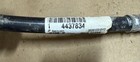 New Nos John Deere Hose 4437834