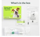 New Sealed Ancestry Pet Dna Test Dog Breed Identification Test  Genetic Traits