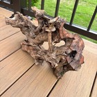 Entangled Root Driftwood 16x9 Dense Organic Wood Terrarium Aquascaping Decor