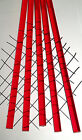 2 Pc Red Translucent Clear 1 2    Diameter 12    Inch Long Acrylic Lucite Color Rod