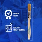 12 Pk- 1 2 Inch Chip Paint Brushes For Paint  Stains varnishes glues gesso