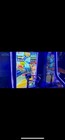 Brand New Basketball Arcade Game