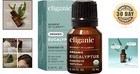  Cruelty-free 100  Pure Eucalyptus Essential Oil - 0 34 Oz Bottled Joy