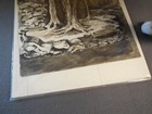 Ax1 Lot Of Original Tree Landscape Pen And Ink Drawing Black Ink Signed 17 x 13   