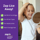 Zap Lice Shampoo Extra Strength - Lice Kit Comb Included 4 Fl Oz 