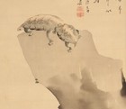 Japanese Painting Hanger  Scroll Japan Old Turtle Antique Art Flower F829
