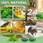 Vamoose Natural Rodent Repellent Peppermint Sachets 24 Pack Mouse Mice Pest - Us