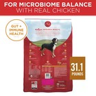 Purina One Natural Smartblend Chicken   Rice Formula Dry Dog Food 31 1 Lb