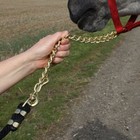 Dura-tech 8  Nylon Lead Rope With Chain   30  Brass Plated Chain   Various Color